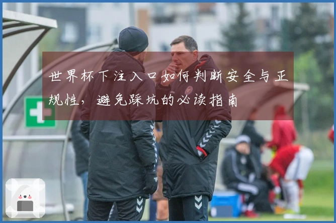 世界杯下注入口如何判断安全与正规性，避免踩坑的必读指南
