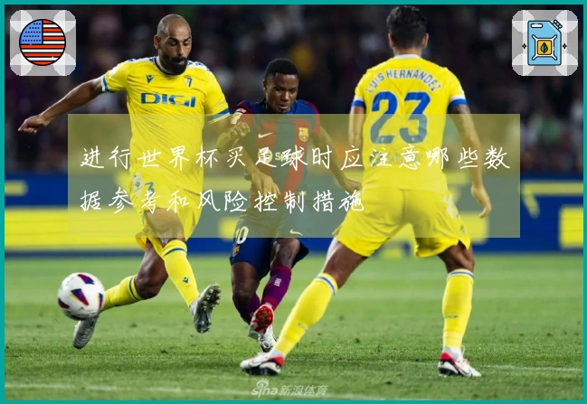 进行世界杯买足球时应注意哪些数据参考和风险控制措施