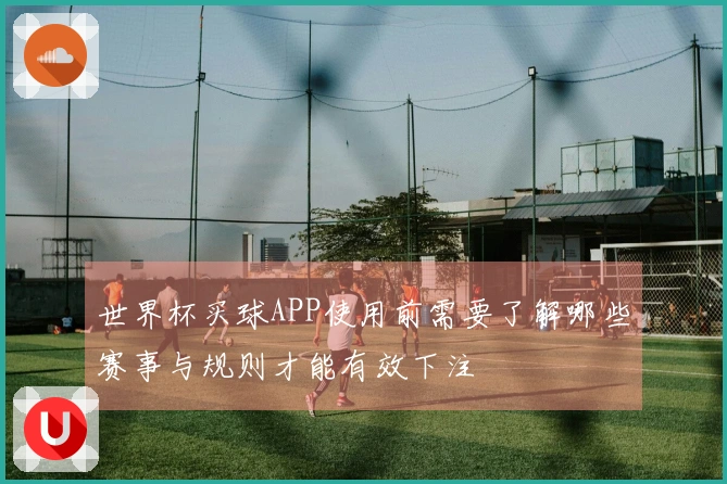 世界杯买球APP使用前需要了解哪些赛事与规则才能有效下注