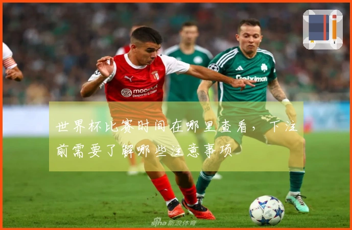 世界杯比赛时间在哪里查看，下注前需要了解哪些注意事项