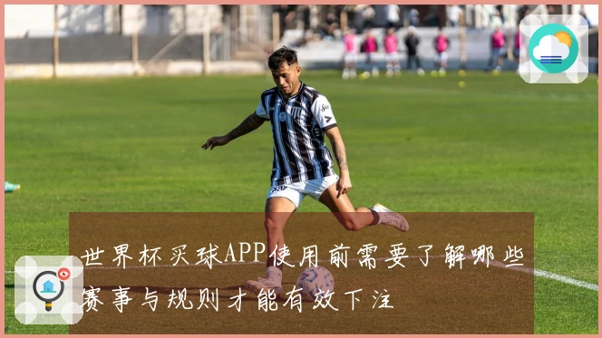 世界杯买球APP使用前需要了解哪些赛事与规则才能有效下注