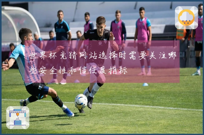 世界杯竞猜网站选择时需要关注哪些安全性和信任度指标