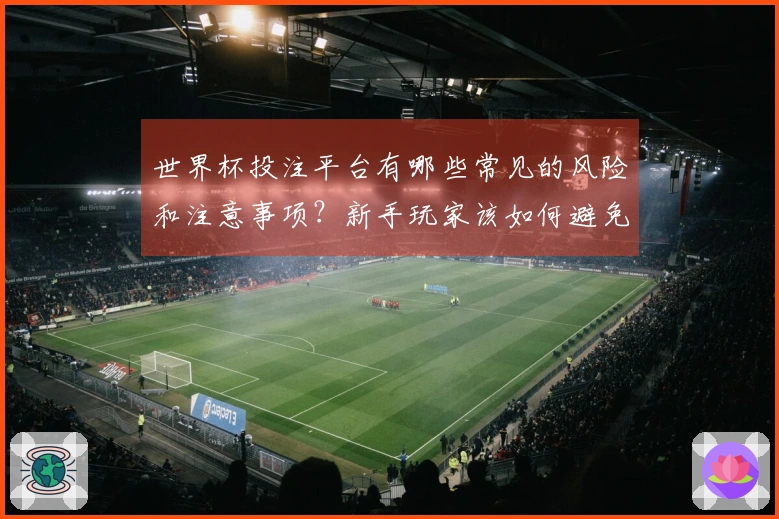 世界杯投注平台有哪些常见的风险和注意事项？新手玩家该如何避免误区？
