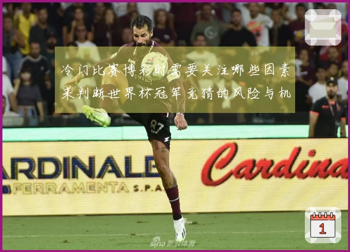 冷门比赛博彩时需要关注哪些因素来判断世界杯冠军竞猜的风险与机会