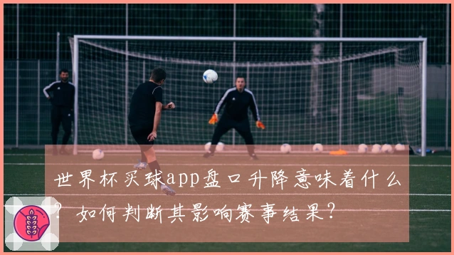 世界杯买球app盘口升降意味着什么？如何判断其影响赛事结果？